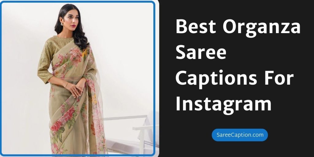 Best Organza Saree Captions For Instagram