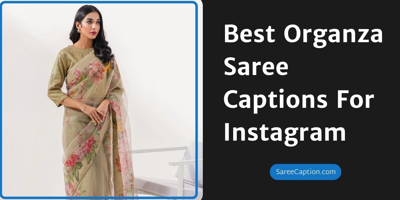 Best Organza Saree Captions For Instagram