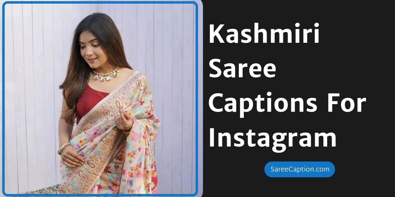 Kashmiri Saree Captions For Instagram