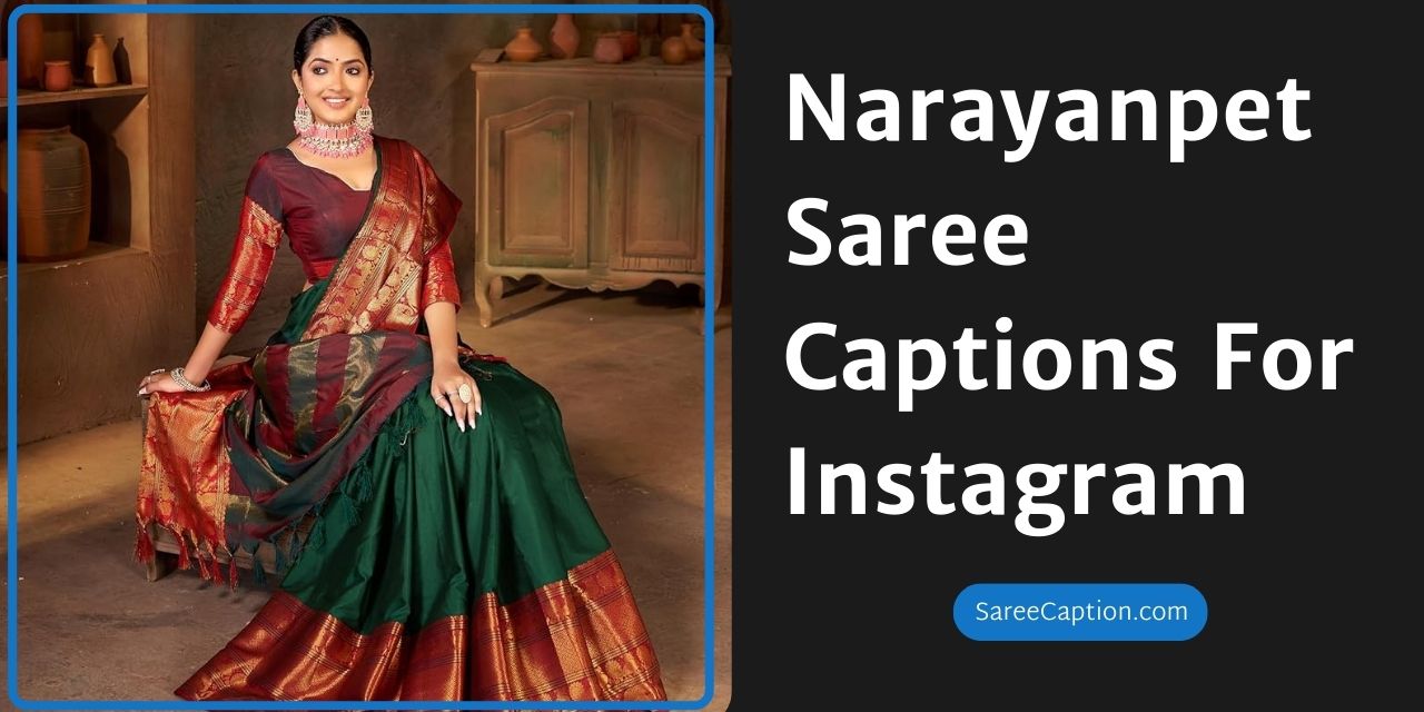 Narayanpet Saree Captions For Instagram