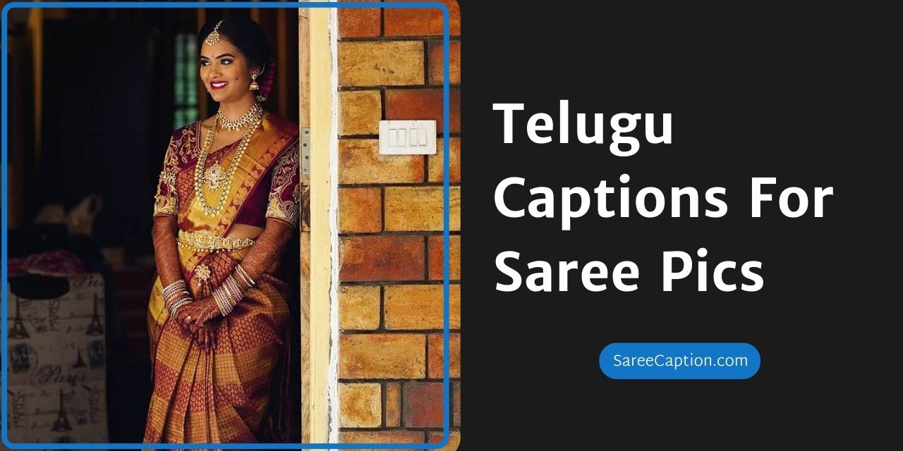 Telugu Captions For Saree Pics