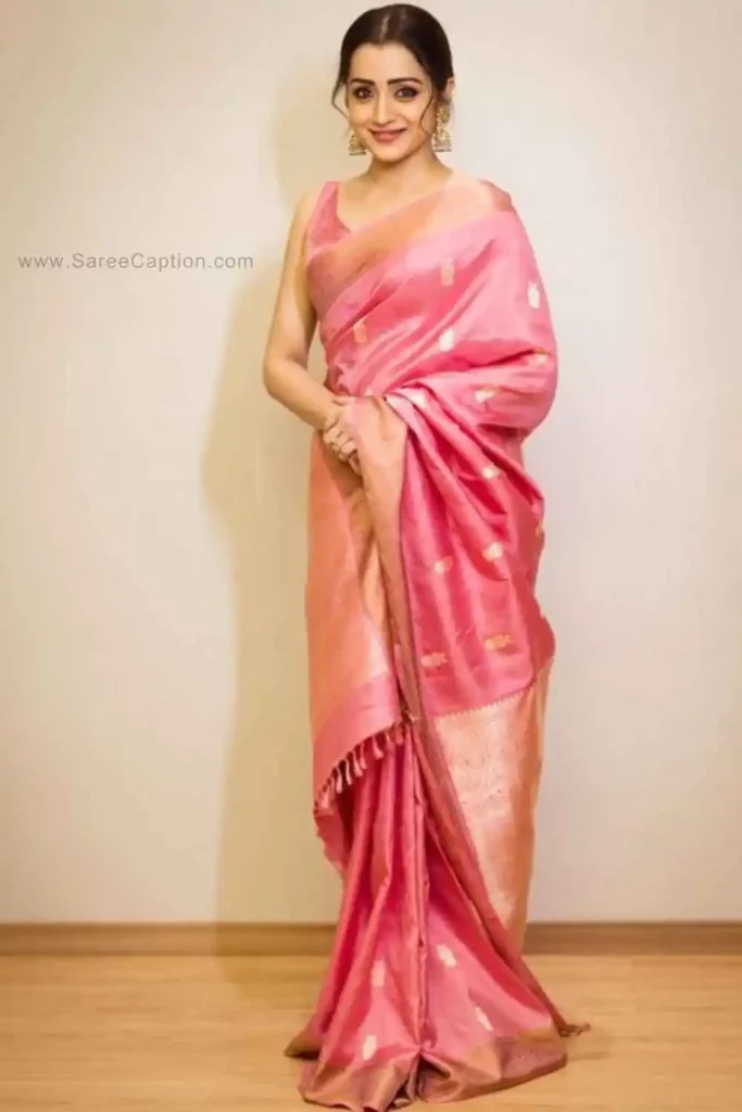 Funny Pink Saree Captions For Instagram